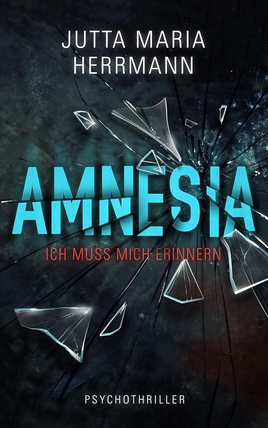 Buchcover: Amnesia von Jutta Maria Herrmann